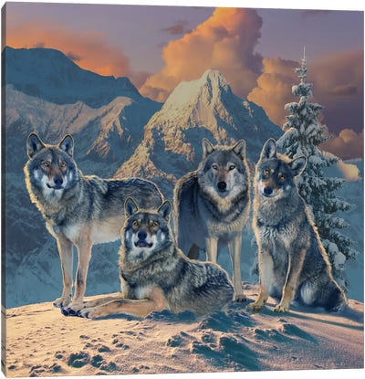 Wolf Pack Canvas Art Print - Vincent Hie