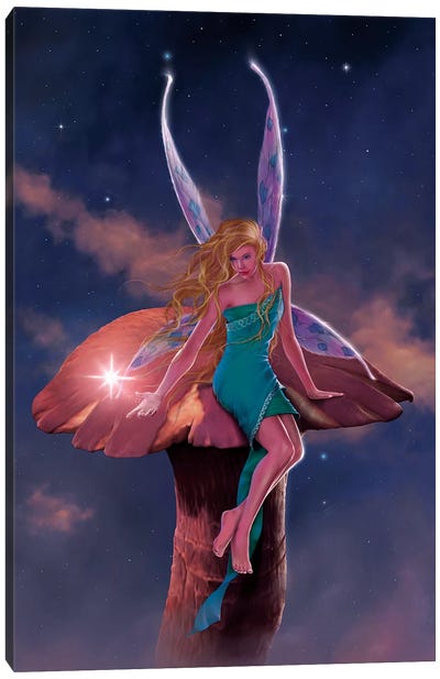 A Fairy's Wish Canvas Art Print - Vincent Hie
