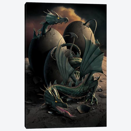 Dragon Offspring Canvas Print #HIE20} by Vincent Hie Art Print