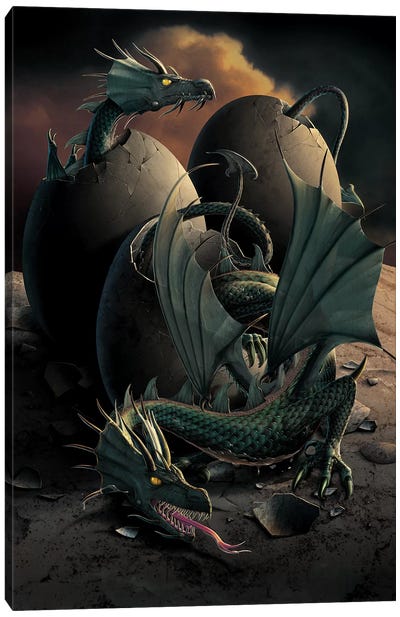 Dragon Offspring Canvas Art Print - Vincent Hie