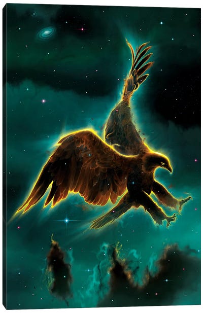 Eagle Galaxy Canvas Art Print - Vincent Hie