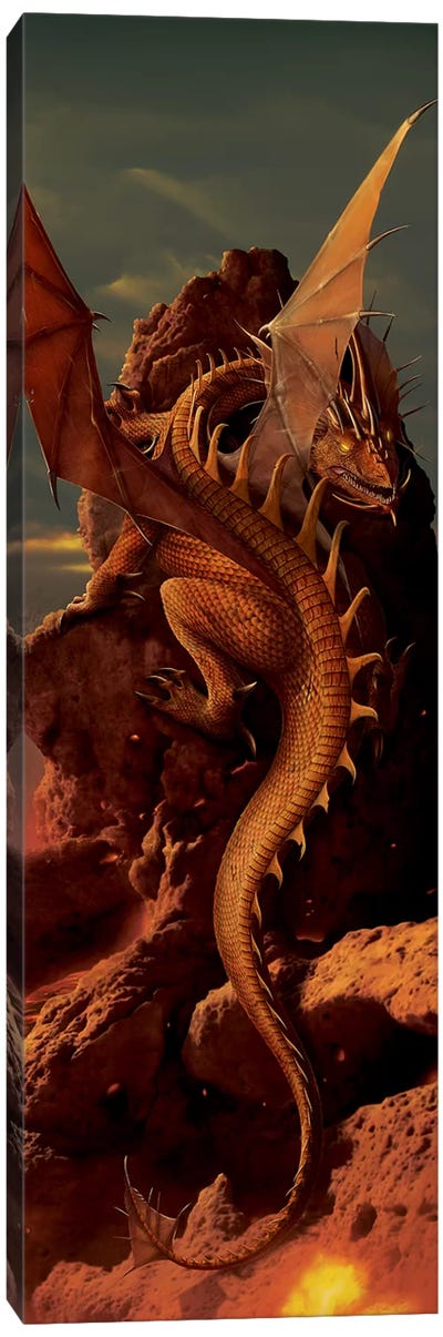 Earth And Fire Canvas Art Print - Dragon Art