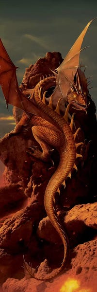 Dragons: Earth And Fire by Vincent Hie