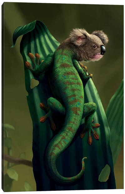Gekoala Canvas Art Print - Lizard Art