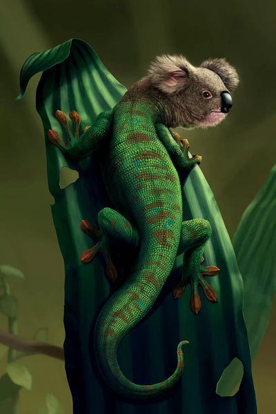 Koalas: Gekoala by Vincent Hie