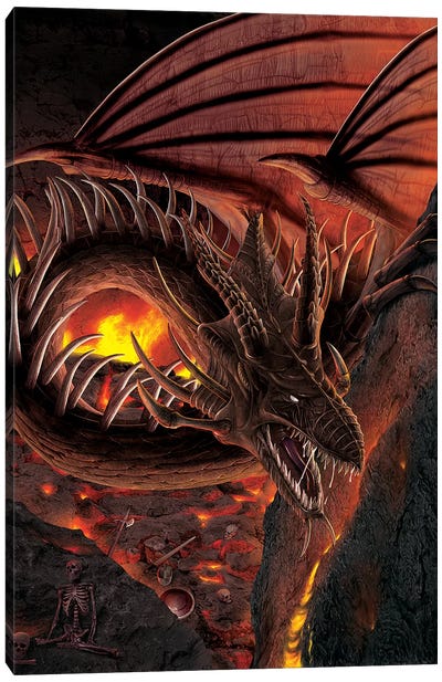 Hellfire Dragon Canvas Art Print - Vincent Hie