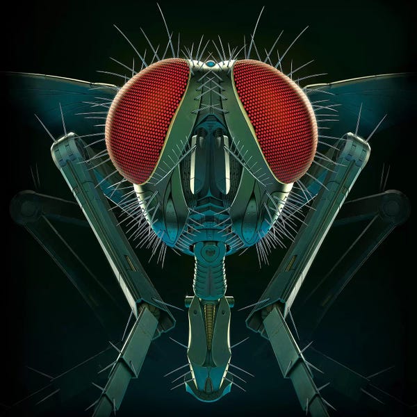 Flies: Metal Fly by Vincent Hie