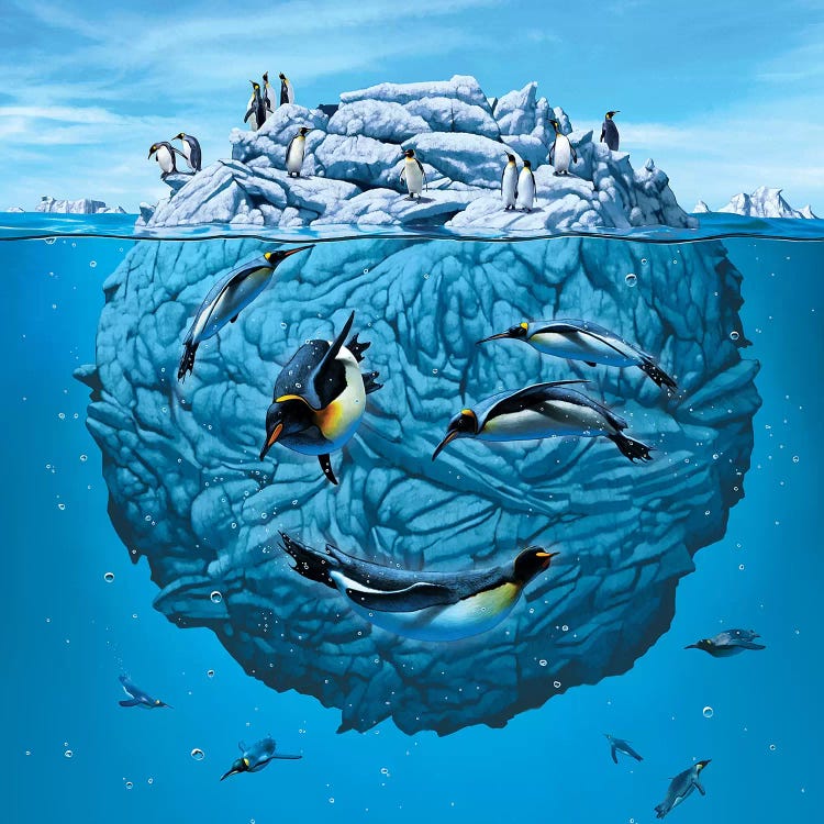 Penguin Wink by Vincent Hie wall art