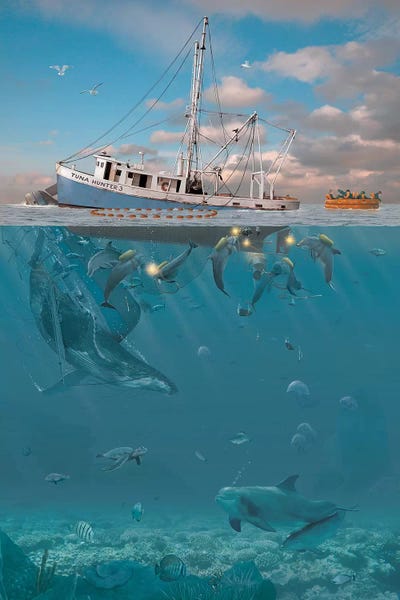 Dolphins: Rage Of The Dolphin by Vincent Hie