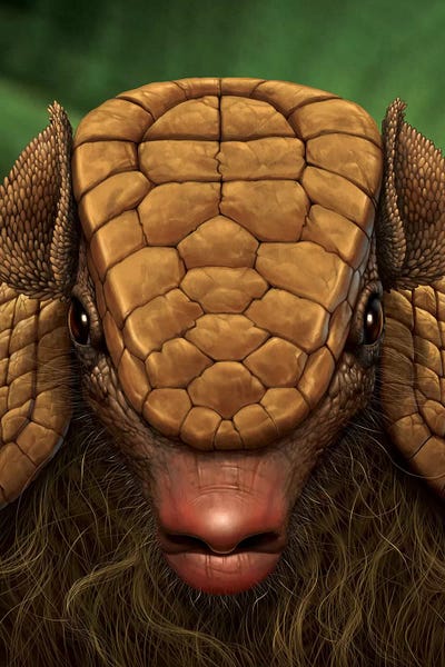 Armadillo Close Up by Vincent Hie canvas print