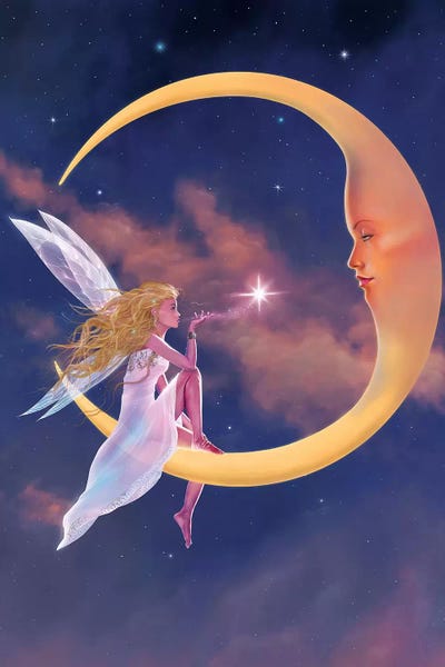 Star Kiss by Vincent Hie canvas print