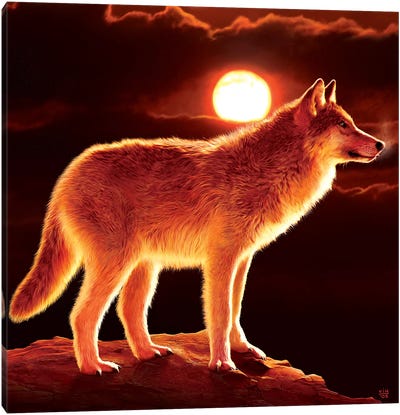 Sunset Wolf Canvas Art Print - Wolf Art