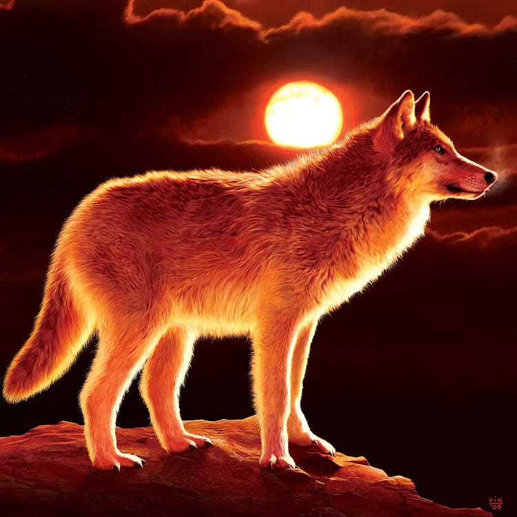 Sunset Wolf by Vincent Hie wall art