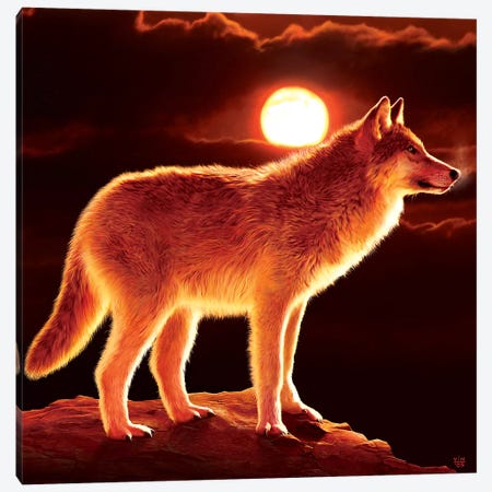 Sunset Wolf Canvas Print #HIE45} by Vincent Hie Canvas Artwork