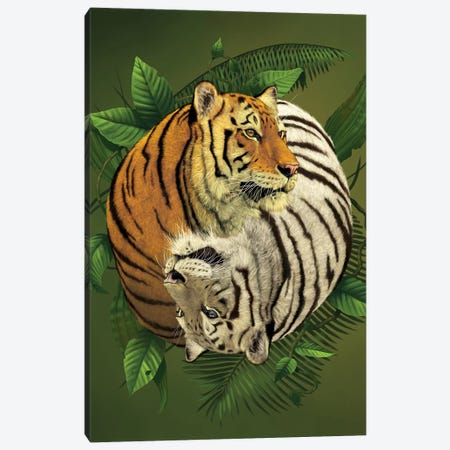 Tiger Yin Yang Canvas Print #HIE49} by Vincent Hie Canvas Print