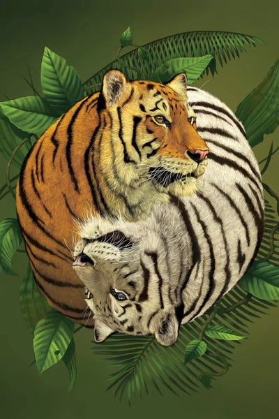 Tigers: Tiger Yin Yang by Vincent Hie