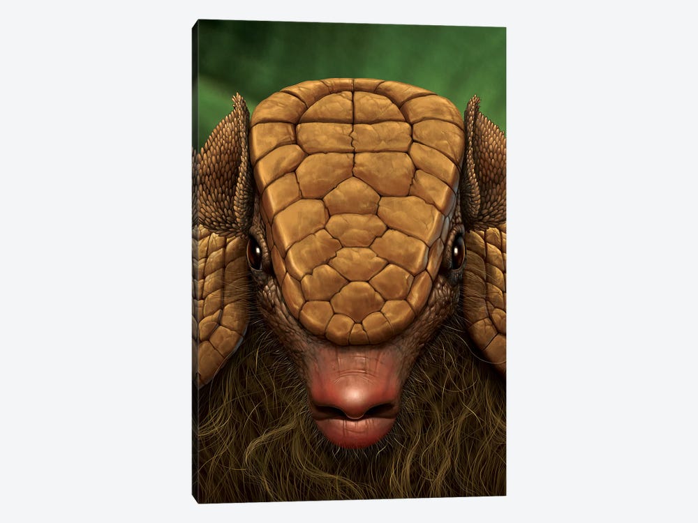 Armadillo Close Up by Vincent Hie 1-piece Art Print