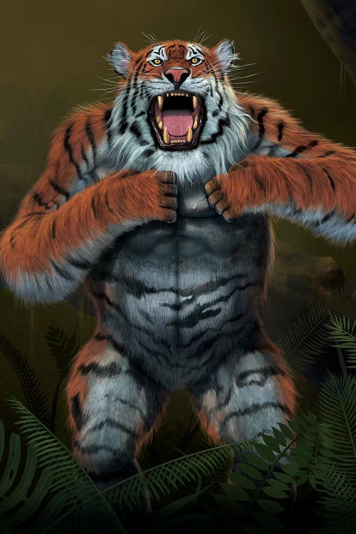 Tigerilla