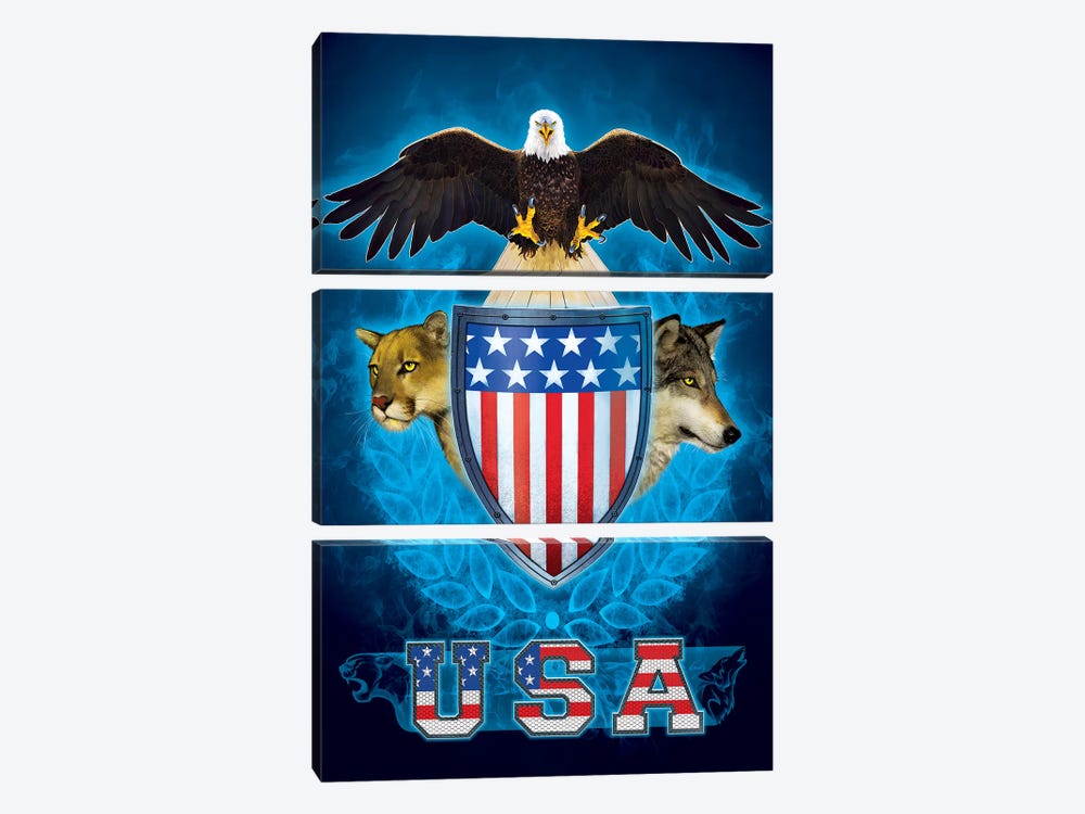 USA Trinity by Vincent Hie 3-piece Canvas Artwork