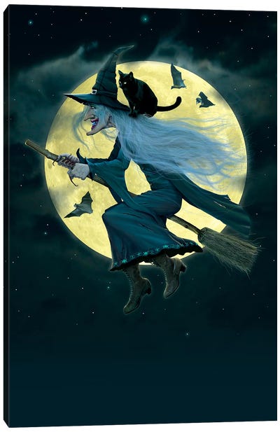 Witch Canvas Art Print - Bat Art
