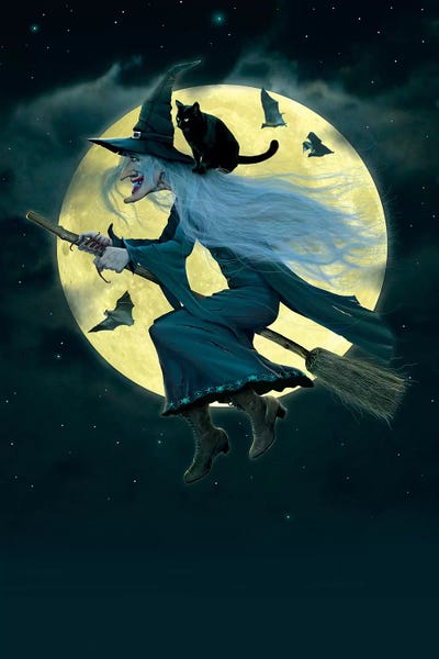 Bats: Witch by Vincent Hie