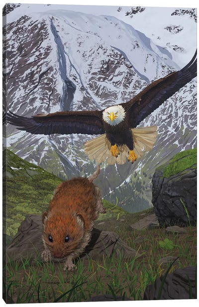 Alaska Canvas Art Print - Vincent Hie