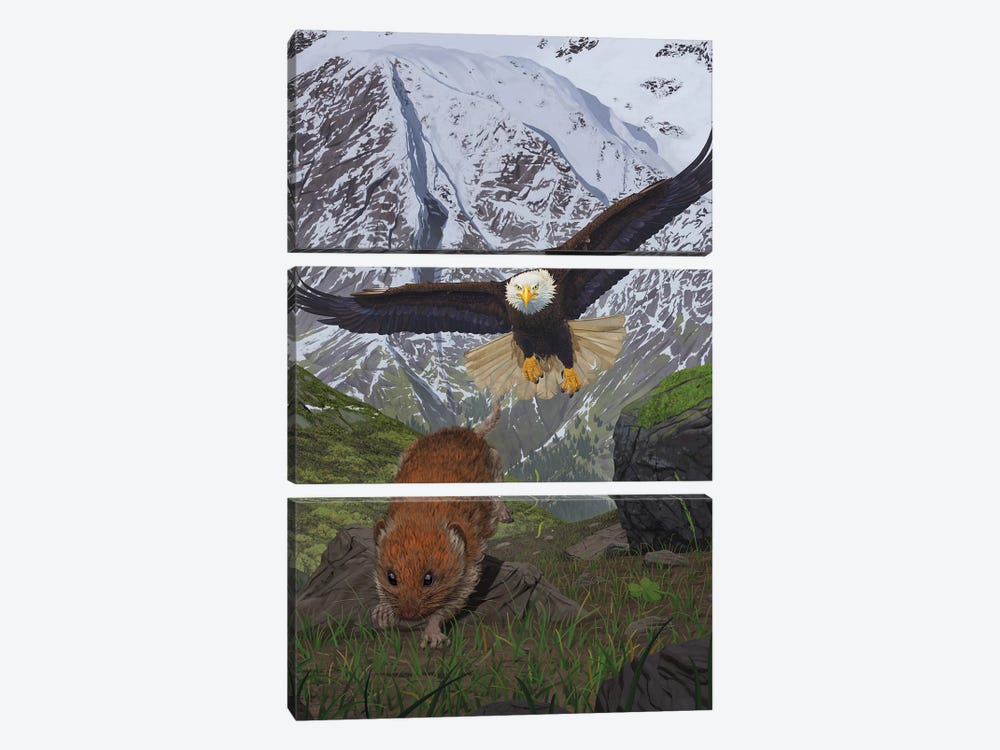 Alaska by Vincent Hie 3-piece Canvas Art Print