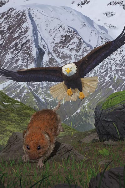 Alaska: Alaska by Vincent Hie