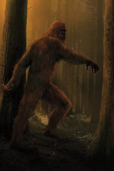 Bigfoot  by Vincent Hie framed wall art