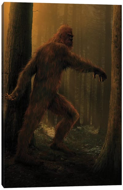 Bigfoot  Canvas Art Print - Mythical Creature Art