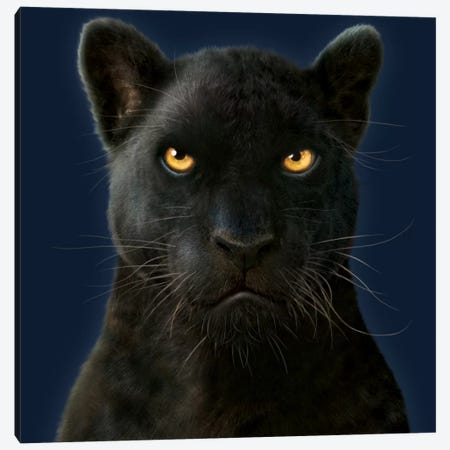 Black Panther Portrait Canvas Print #HIE65} by Vincent Hie Canvas Art