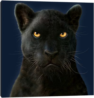 Black Panther Portrait Canvas Art Print - Panthers