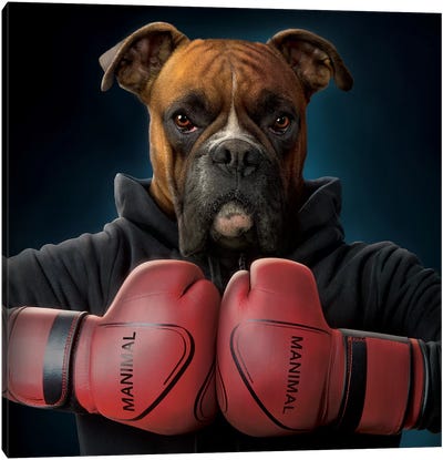 Boxer Canvas Art Print - Boxing Art