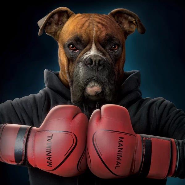 Kids Sports Art: Boxer by Vincent Hie