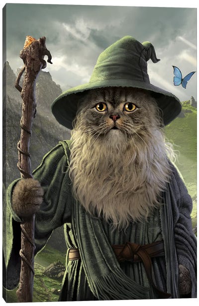 Catdalf  Canvas Art Print - The Lord Of The Rings