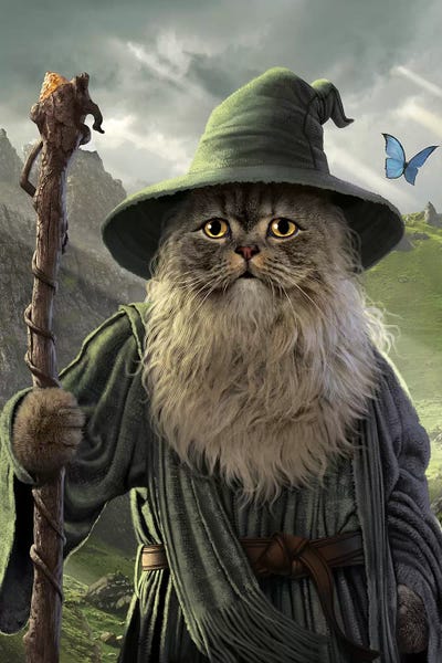 Fictional Characters: Catdalf  by Vincent Hie