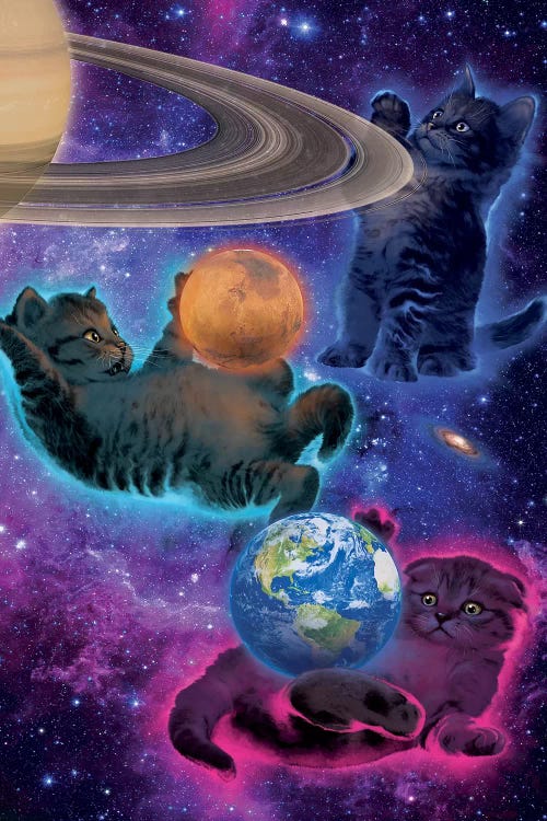 Cosmic Kittens by Vincent Hie wall art