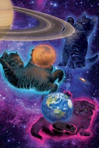 Vincent Hie: Cosmic Kittens by Vincent Hie
