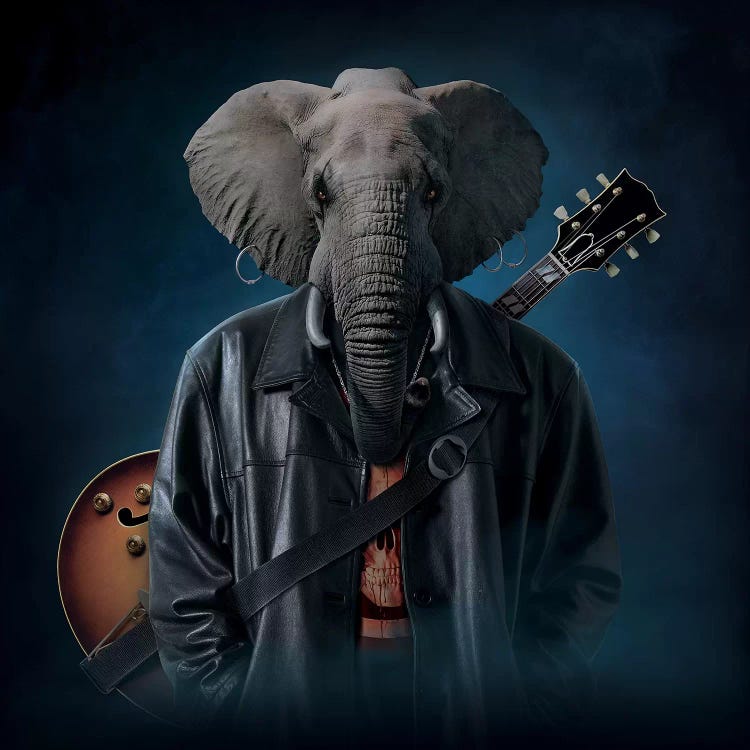 Elephice Cooper by Vincent Hie wall art