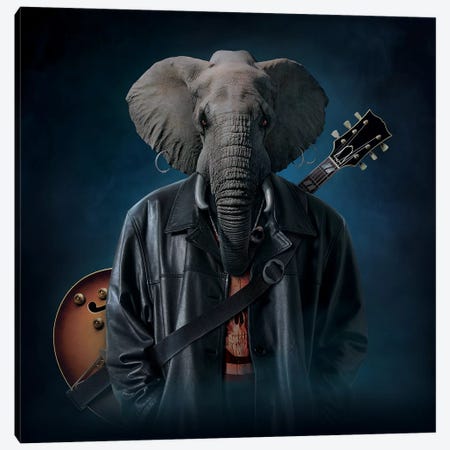 Elephice Cooper Canvas Print #HIE74} by Vincent Hie Canvas Print