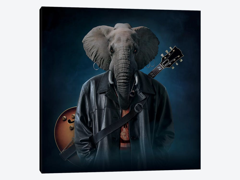 Elephice Cooper by Vincent Hie 1-piece Canvas Wall Art