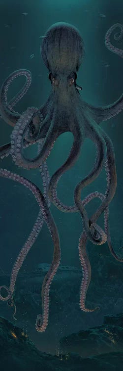 Giant Octopus by Vincent Hie wall art