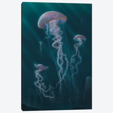 Jellyfish  Canvas Print #HIE77} by Vincent Hie Art Print