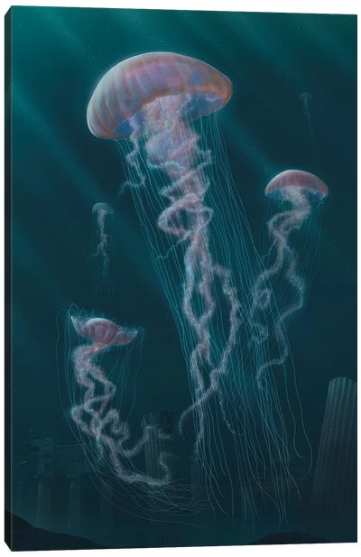 Jellyfish  Canvas Art Print - Vincent Hie