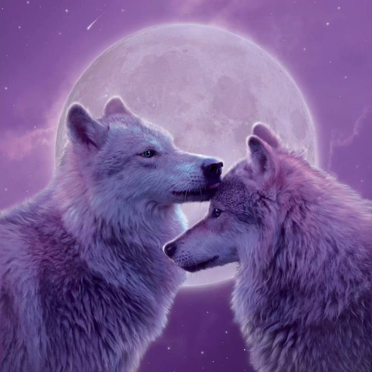 Loving Wolves by Vincent Hie wall art