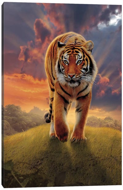 Rising Tiger Canvas Art Print - Vincent Hie