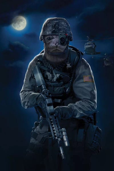 Navy: Seal by Vincent Hie