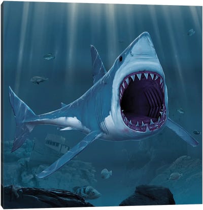 Shark Bite Canvas Art Print - Thriller Movie Art