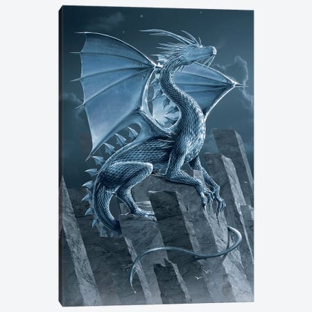 Silver Dragon Canvas Print #HIE86} by Vincent Hie Canvas Wall Art