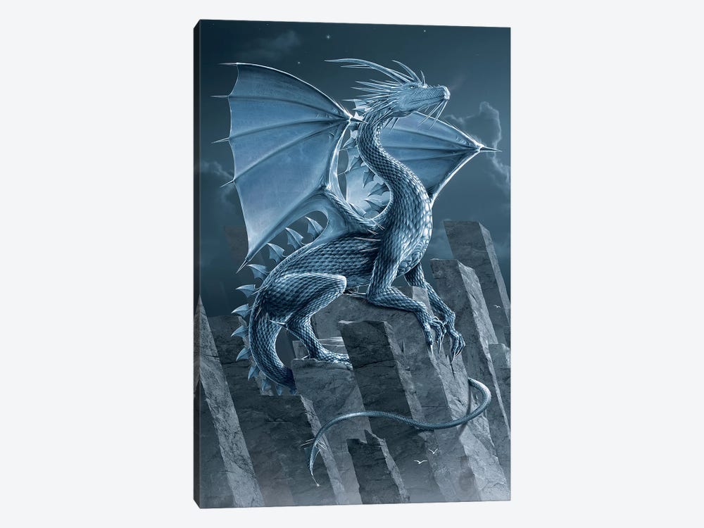 Silver Dragon by Vincent Hie 1-piece Canvas Print